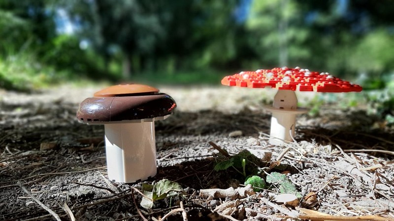 Les champignons en briques plastiques