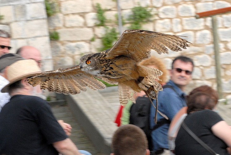 Les Géants du Ciel