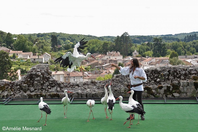 Les Géants du Ciel