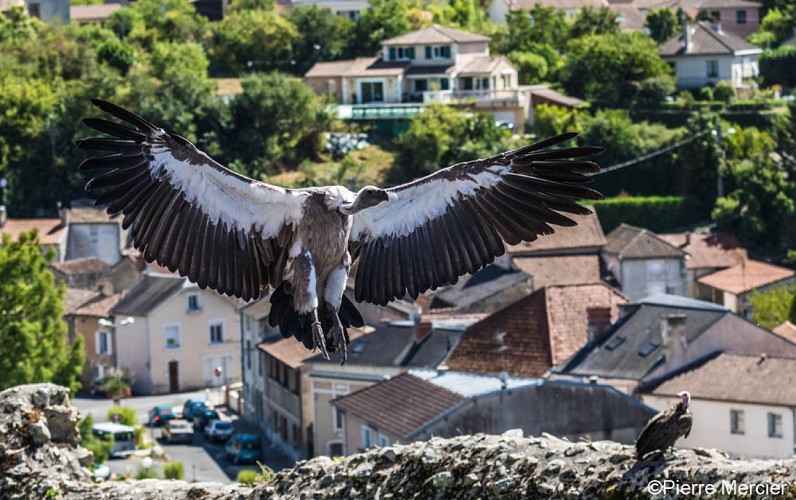 Géants du Ciel_8