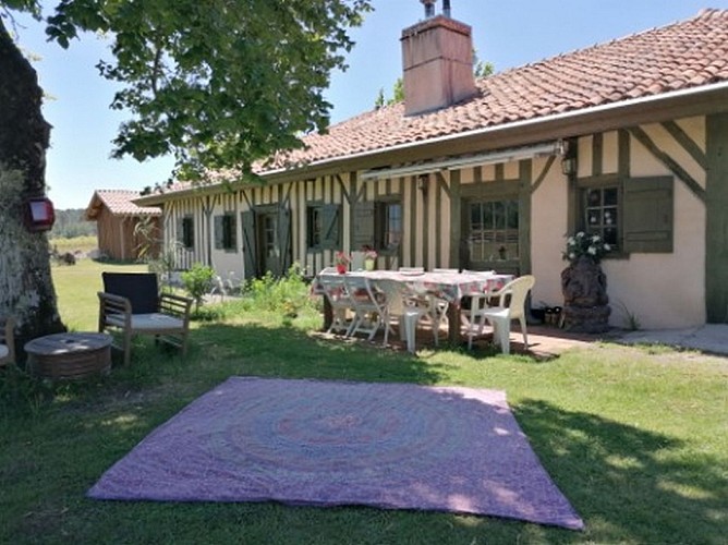 Airial_des_pins_troudart_bacquet (2) (Copier)