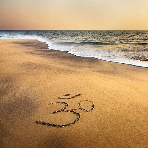 Airial_des_pins_troudart_bacquet (1) (Copier)