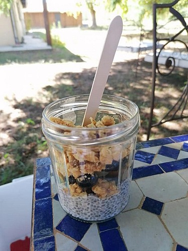 Airial_des_pins_troudart_bacquet (4) (Copier)