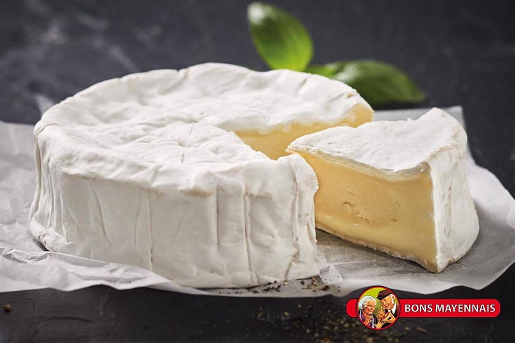 BONS MAYENNAIS - VAUBERNIER