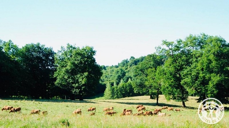Gîte des Chaises Basses