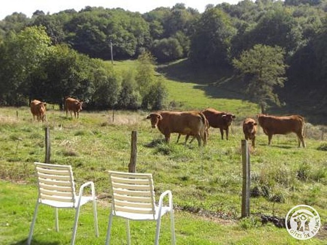 GITE DES CHAISES BASSES_10