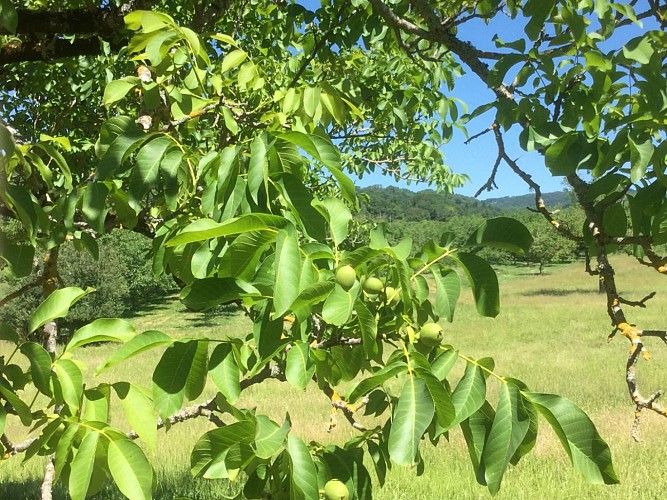 Location Gîtes de France - Réf : 19G2211