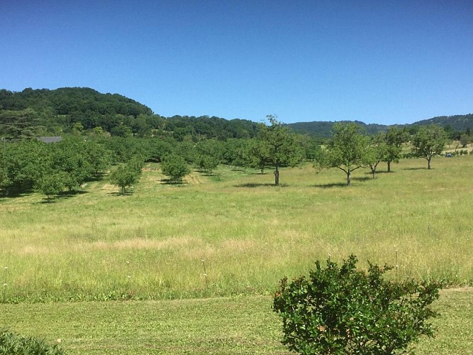 Location Gîtes de France - Réf : 19G2211