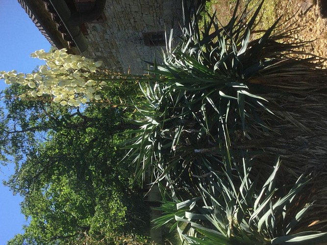 Location Gîtes de France - Réf : 19G2211