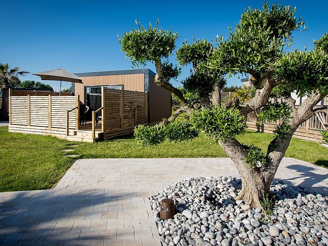 M&amp;V Resort-Olympe-Olivier plateau