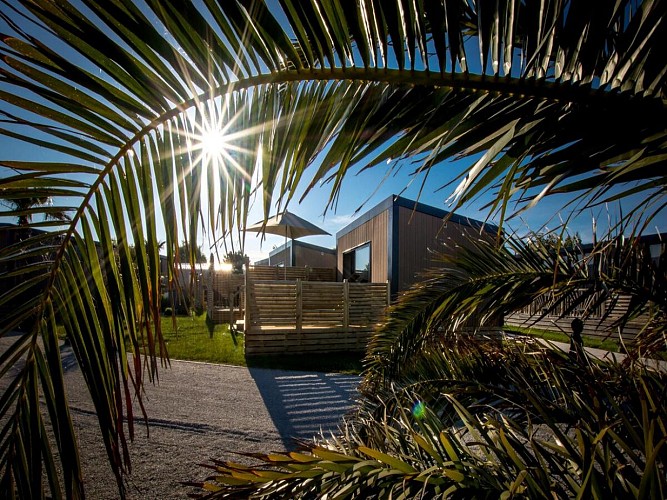 M&amp;V Resort-Eden-verdure