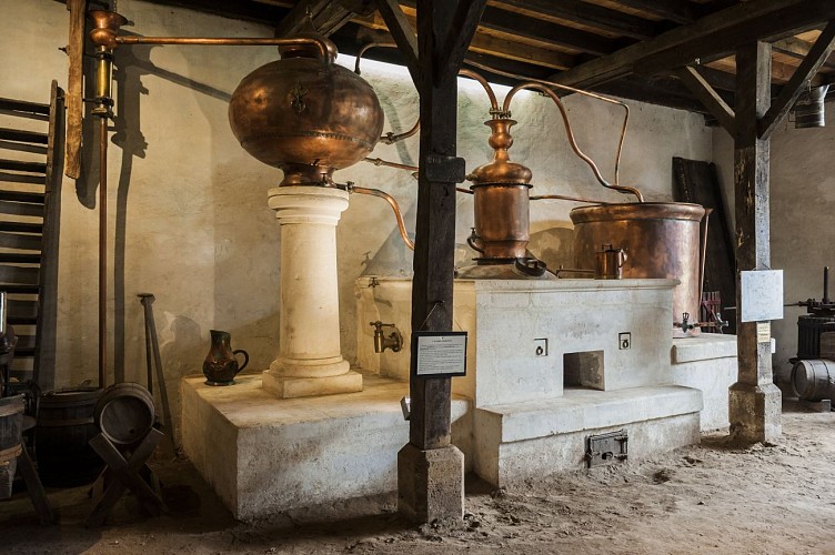 ecomusee int+®rieur - Gradignan