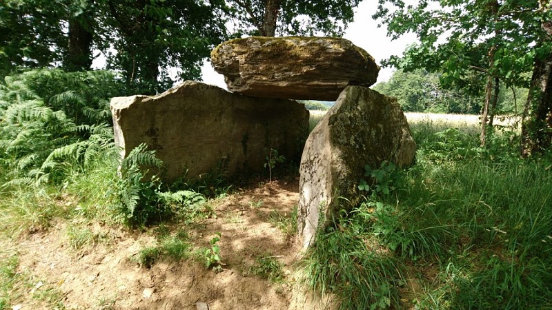 Dolmen de la Tamanie