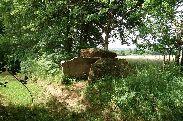 Dolmen de la Tamanie