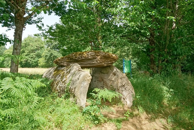 Dolmen de la Tamanie_1