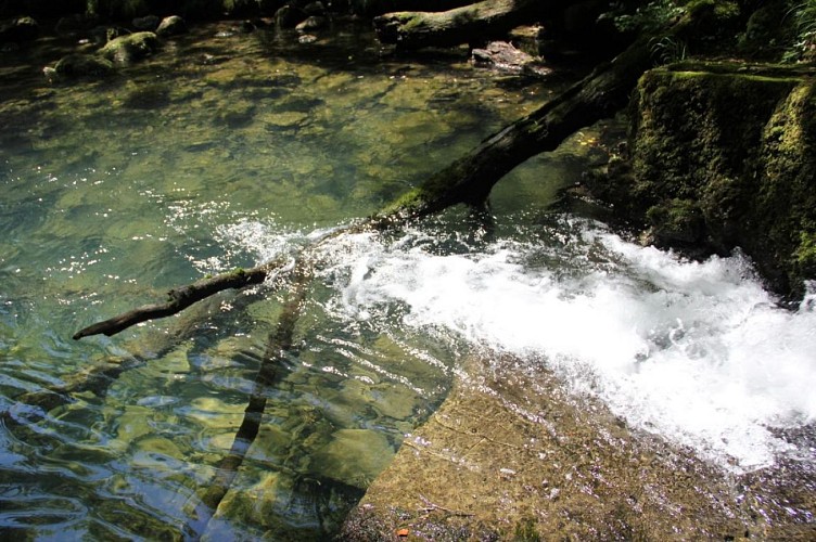 Fontaine-Noire, ENS de l'Ain