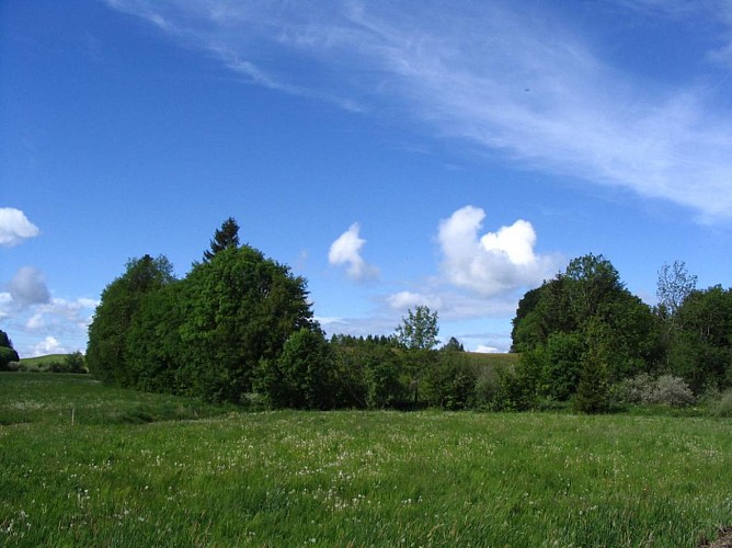 Le Plateau des Bornes