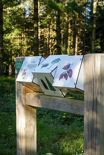 Menhir and Arboretum of Bois des Brosses