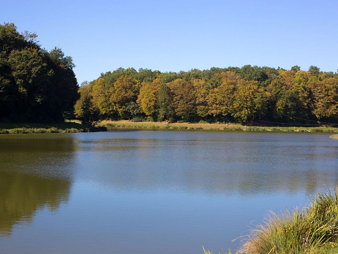 Domaine-de-nature-et-de-loisirs-de-Blasimon_David-Remazeilles_Gironde-Tourisme (3)