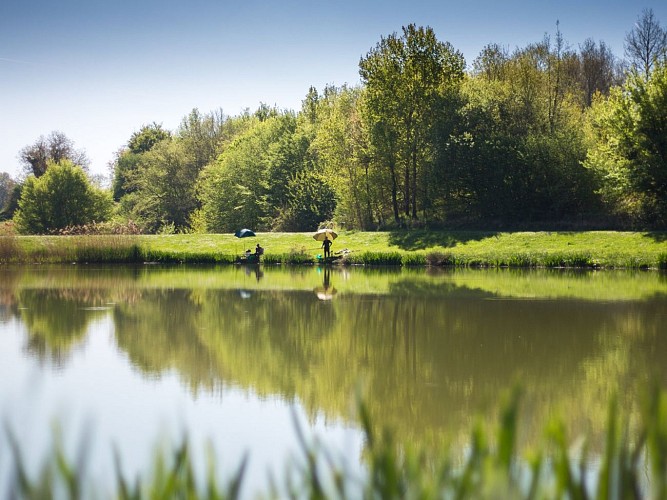Domaine-de-nature-et-de-loisirs-de-Blasimon_David-Remazeilles_Gironde-Tourisme (4)