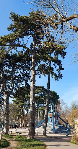 Jardin de la La Roseraie