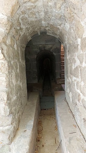 Regard XXIII Aqueduc Médicis