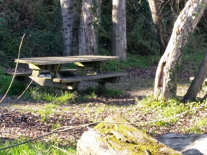 Aire pique nique - Laroin - 1