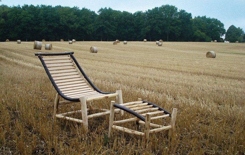 Création Chataignier