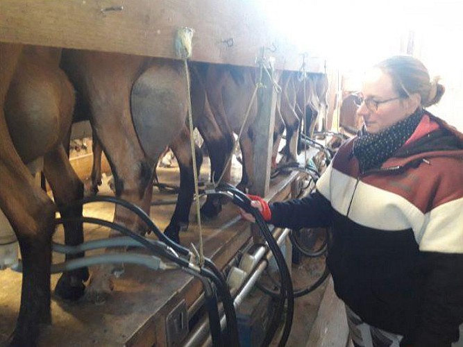 les_caprines_de_bouix_2