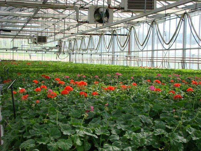 Les Jardins de Murat_2