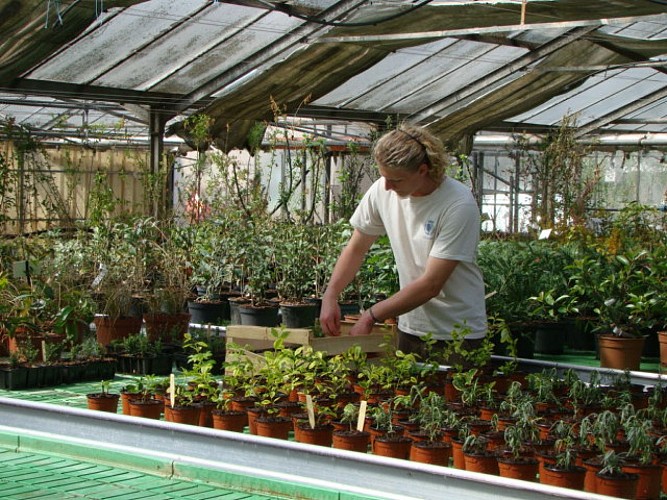 Les Jardins de Murat_4