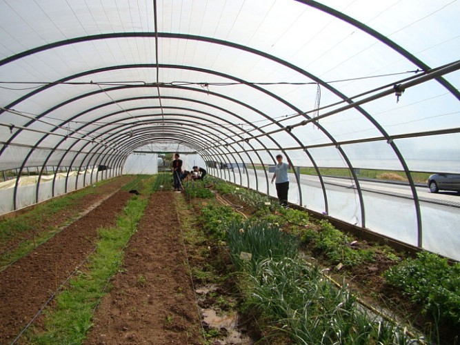 Les Jardins de Murat_6