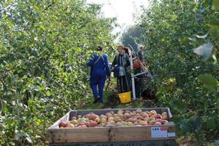 Les Jardins de Murat_7