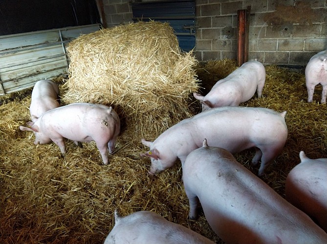 La ferme d'Embrugeat - Lunateli - Lou Gagnou