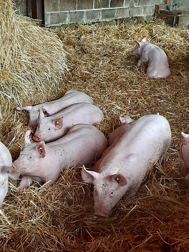 La ferme d'Embrugeat - Lunateli - Lou Gagnou