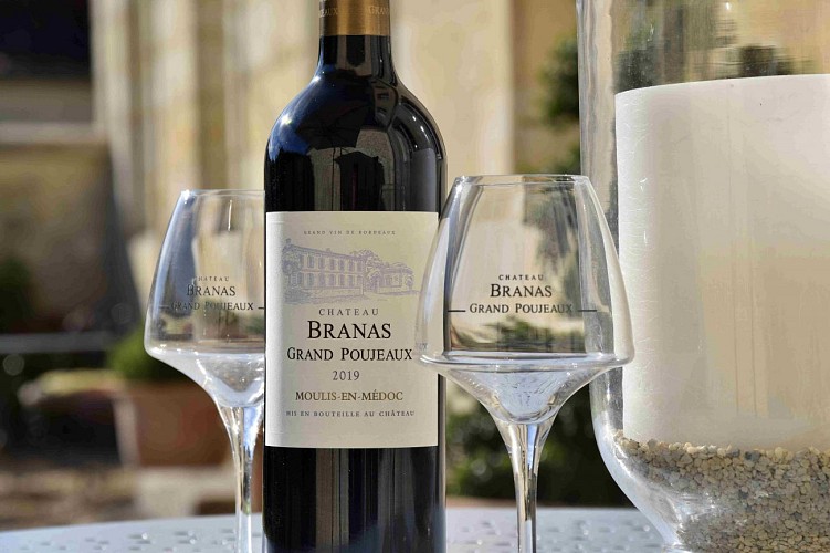 Châteaux Branas et Granins Grand Poujeaux Moulis en Medoc (6)