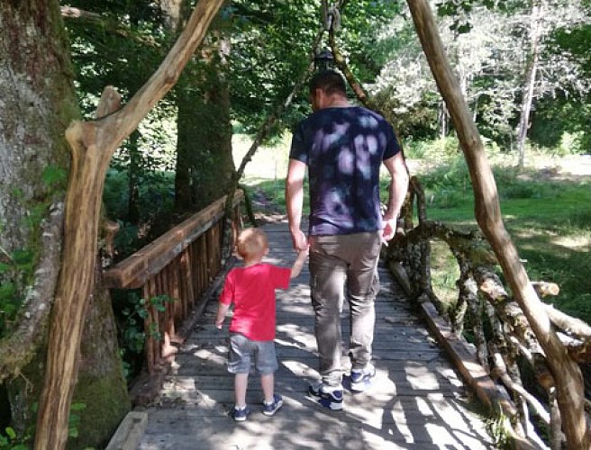 Meublé de Tourisme l'éveil de la forêt_10