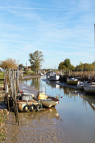 Port de Saint-Vivien-de-Médoc - © Médoc Atlantique (6)