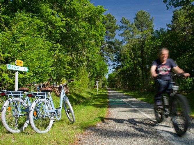 Bazas---Les-Cycles-du-Bazadais-2