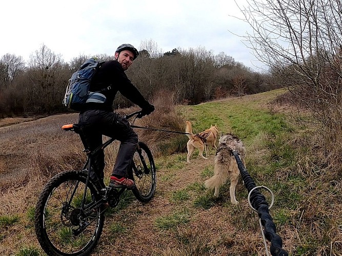 Bazas - Les Cycles du Bazadais (3)