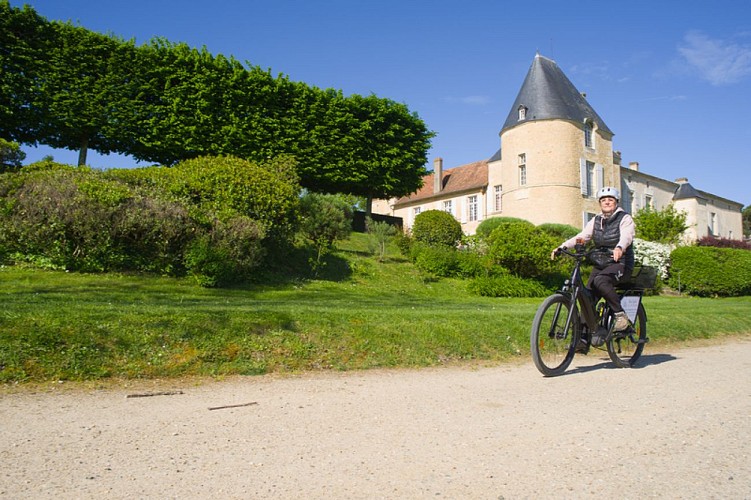 Les Cycles du Bazadais - La Gironde du Sud - Sauternes 3