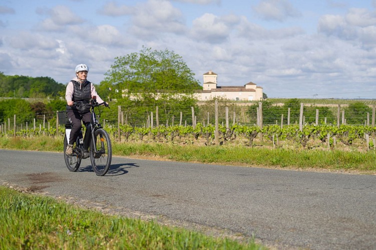 Les Cycles du Bazadais - La Gironde du Sud - Sauternes 2