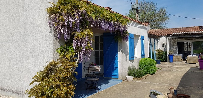 Haras de la Montagne