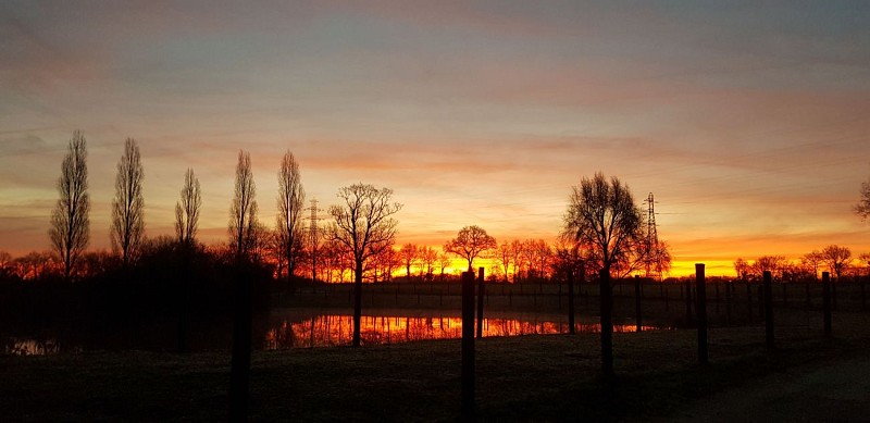 Haras de la Montagne