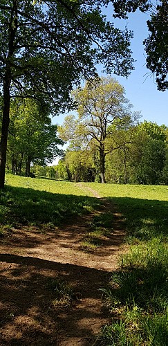 Haras de la Montagne