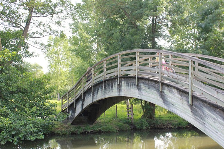 Une des passerelle en bois de la Venise Verte