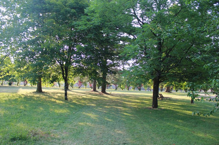 La Demeure du Marais - chambre d'hôtes