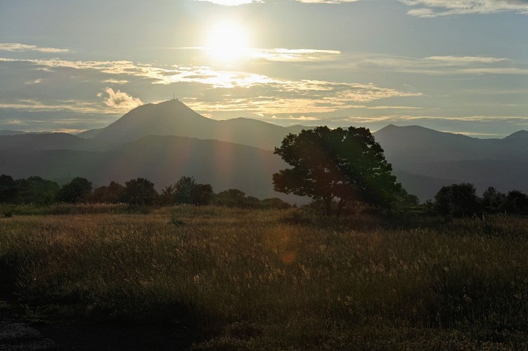 Circuit n° 10 : La forêt de Gravières