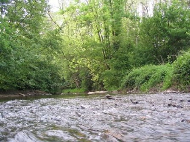 The Morge valley