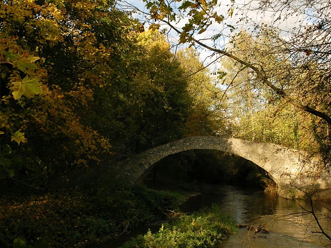 Au fil de l'eau